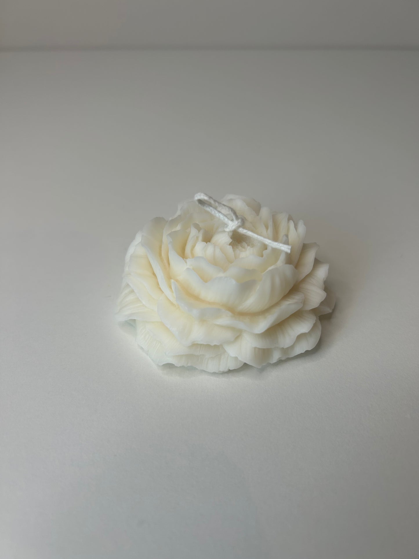 Witte pioenroos kaars