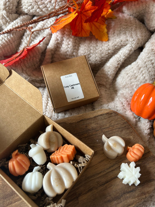 Wax melts autumn 