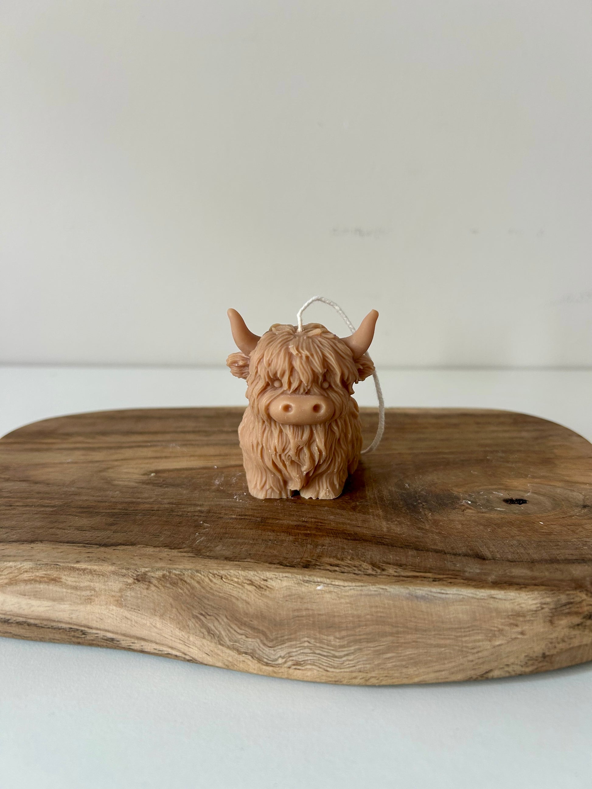 Cow candles